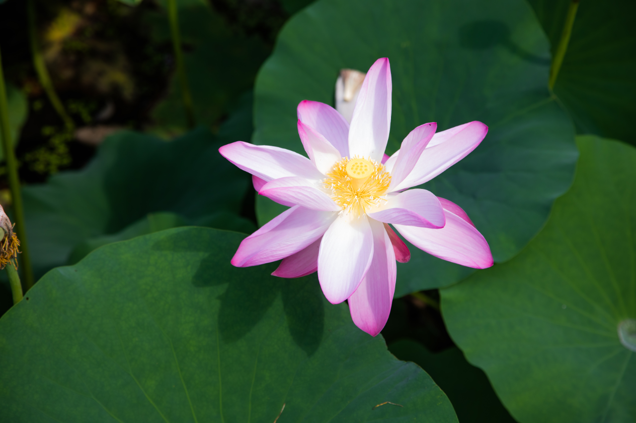 bfb2e510114190b77bfa191a09449fab.jpg bfb2e510114190b77bfa191a09449fab.jpg