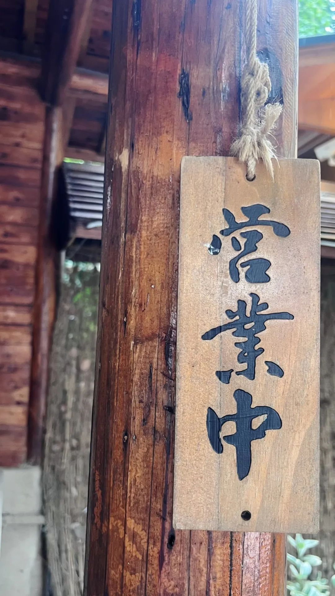 正文图片