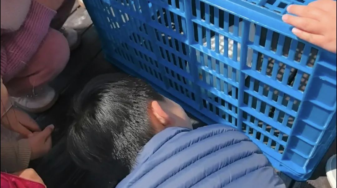 正文图片