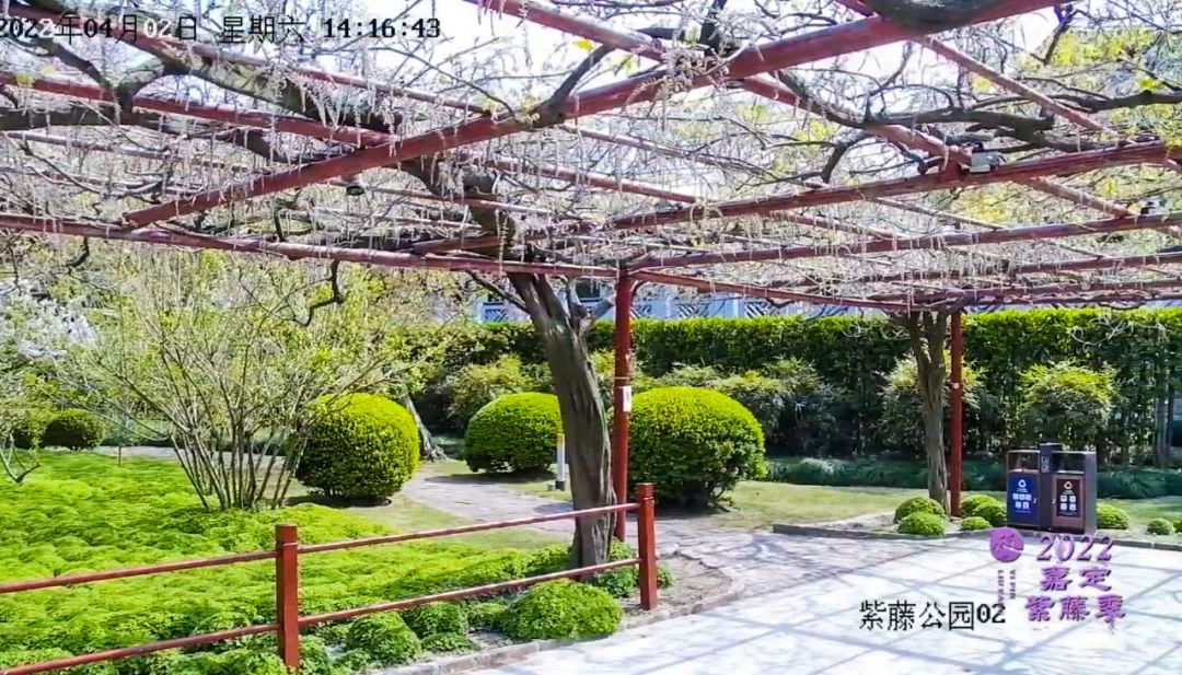 正文图片