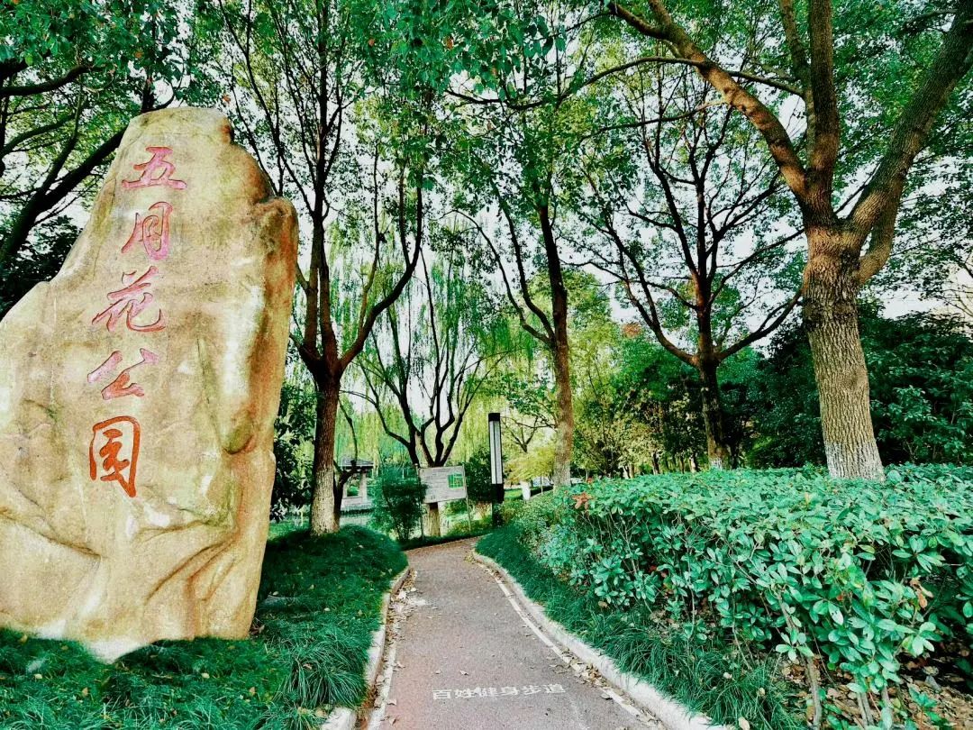 正文图片
