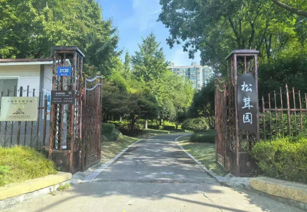 正文图片