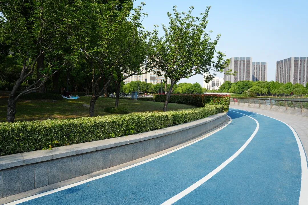 正文图片