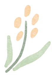 正文图片