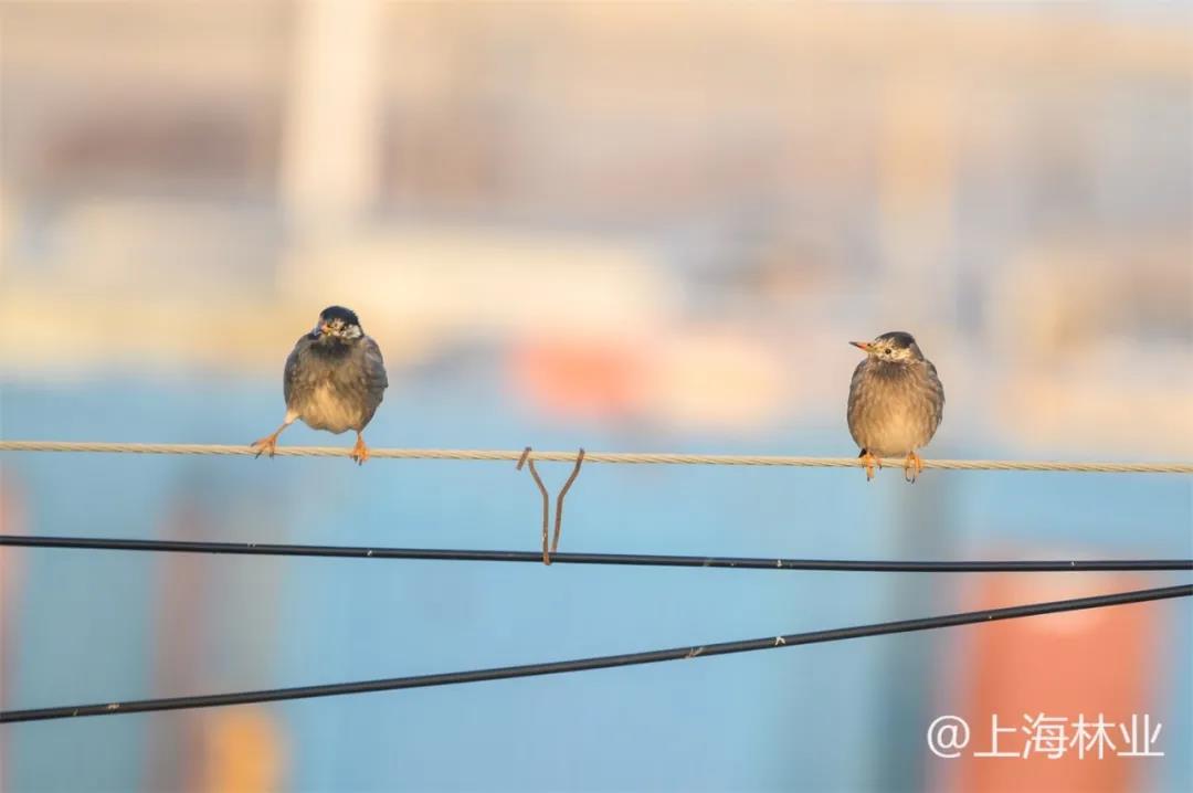 微信图片_20211213145530.jpg 微信图片_20211213145530.jpg