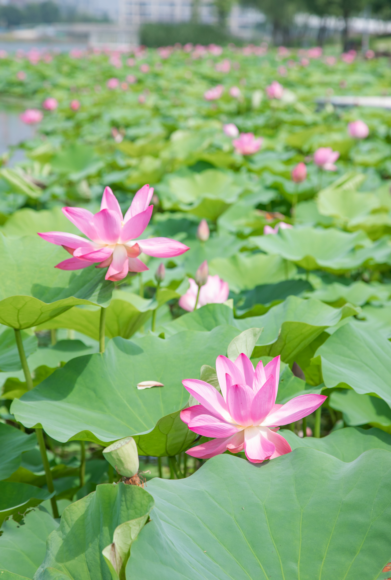 02168f8ca20461b4e892682f05100410.jpg 02168f8ca20461b4e892682f05100410.jpg