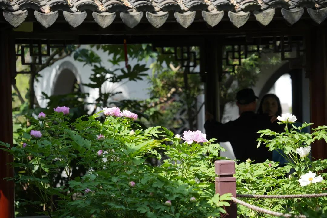 正文图片