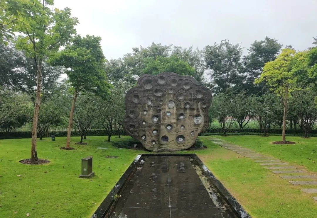 正文图片