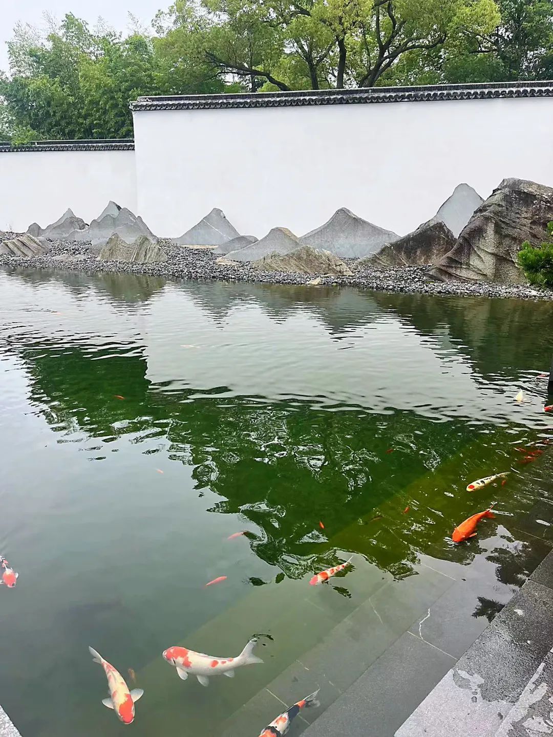 正文图片