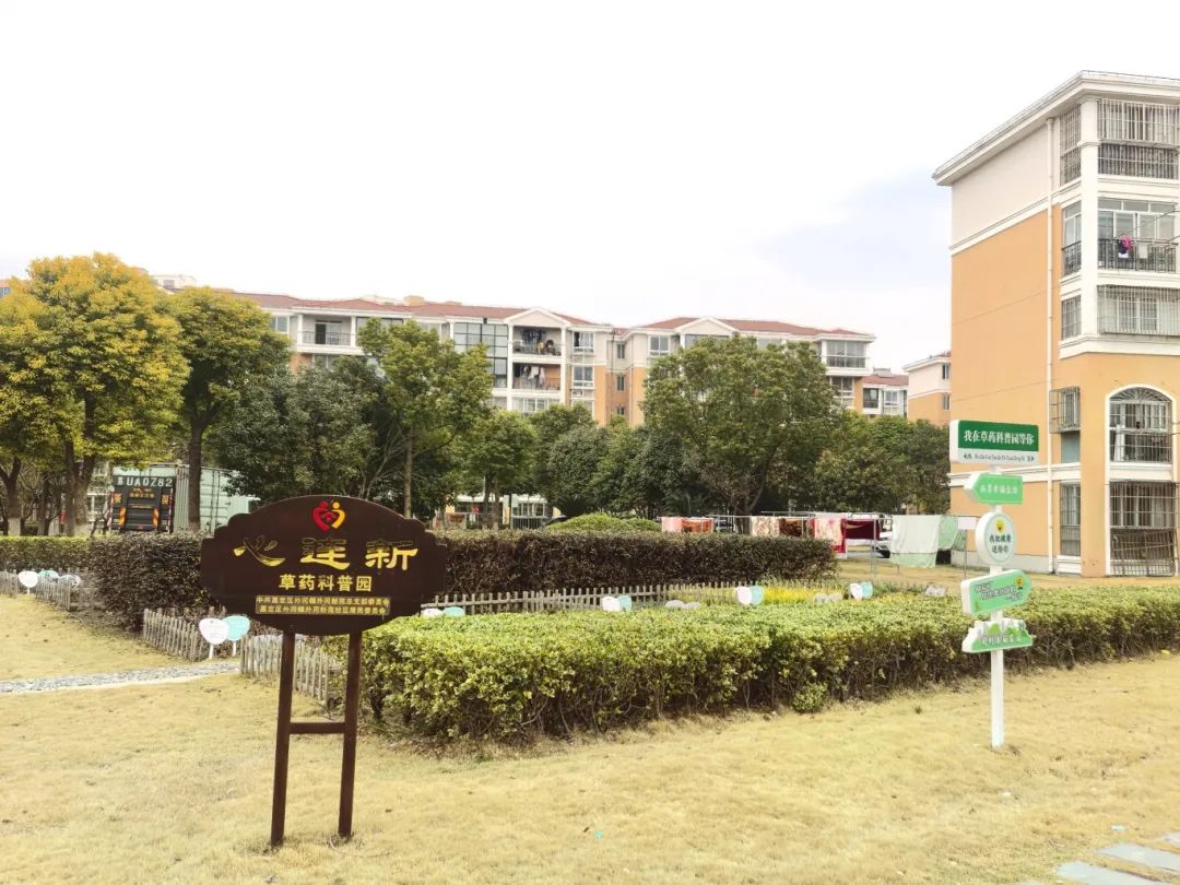 正文图片