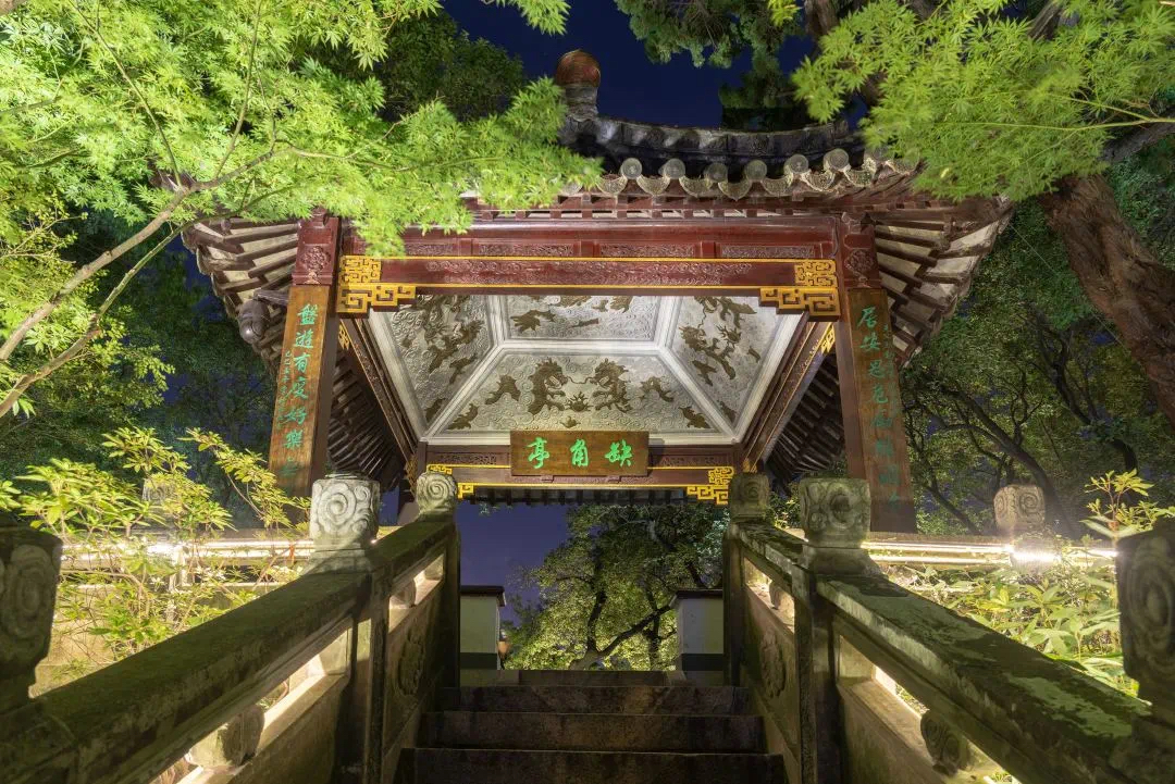 正文图片