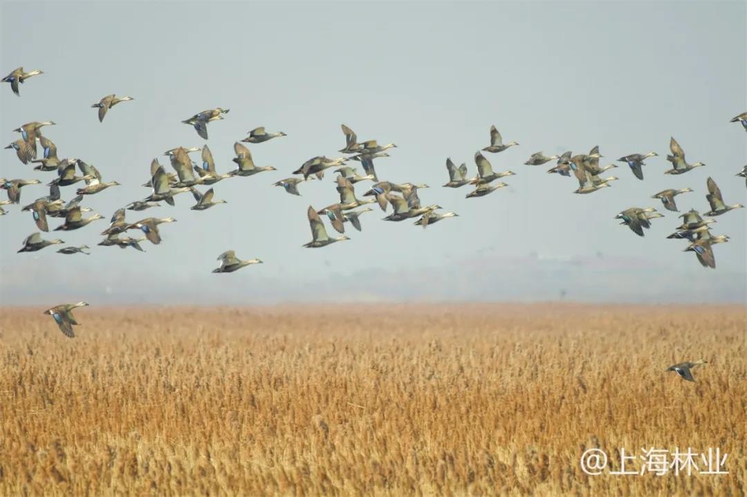 微信图片_20211213145525.jpg 微信图片_20211213145525.jpg