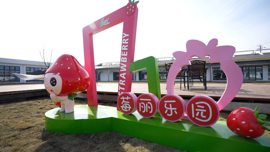 正文图片
