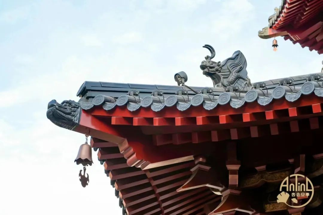 正文图片