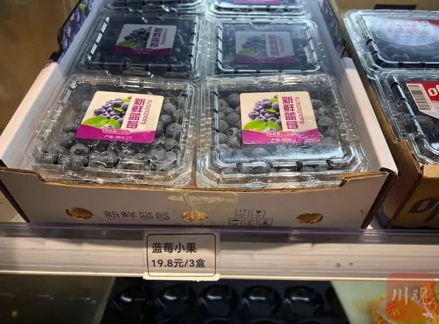 正文图片