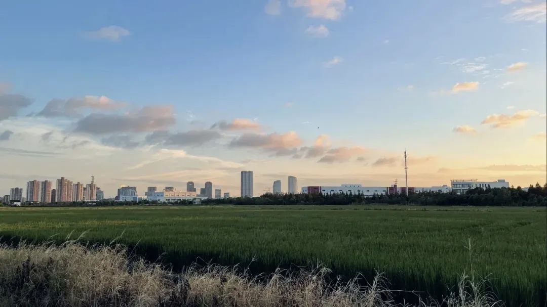 正文图片