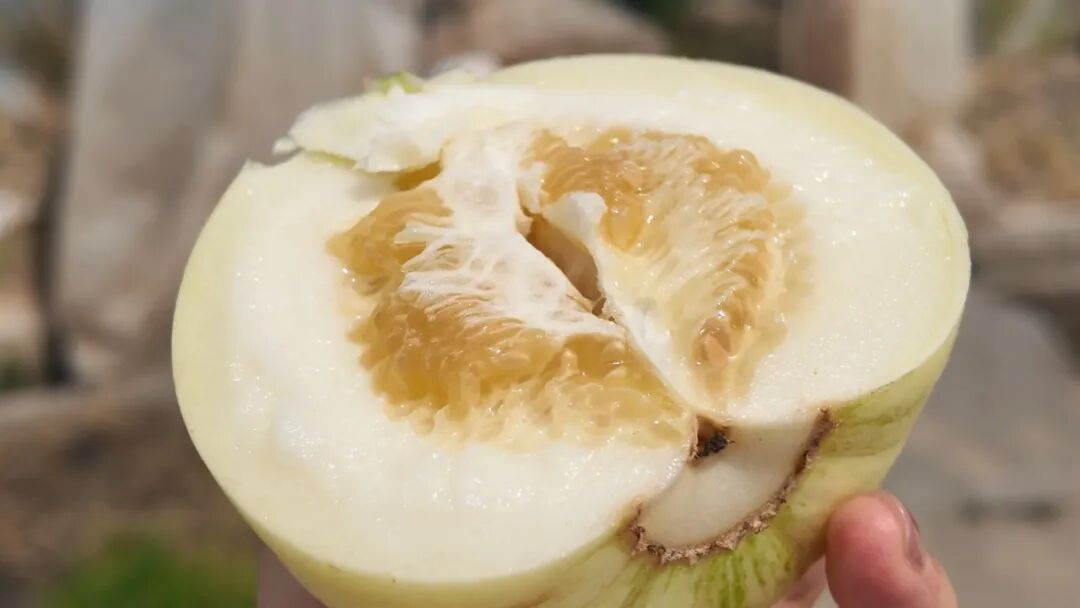 正文图片