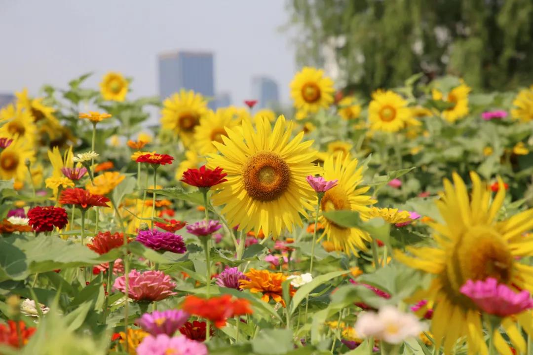 微信图片_20210630204127.jpg