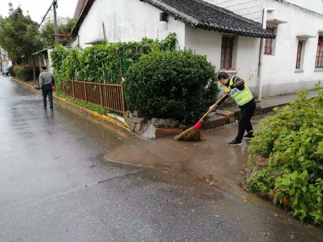 江桥镇封浜村图片