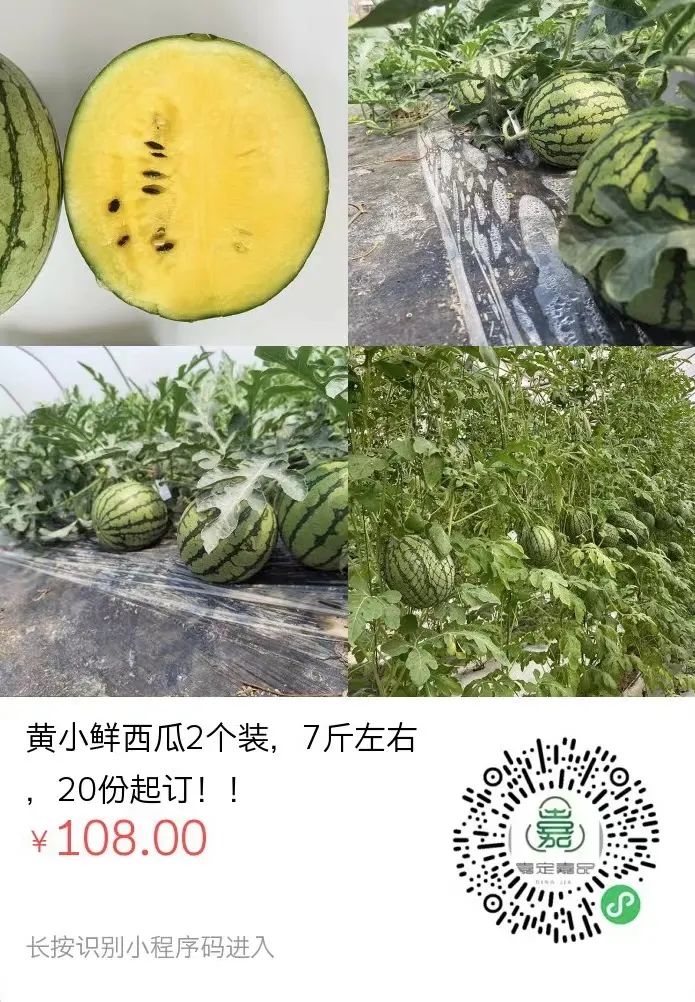 正文图片
