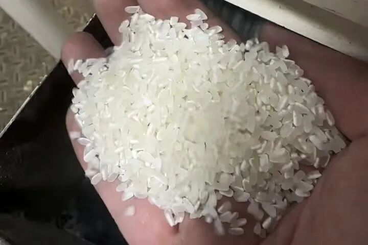 正文图片