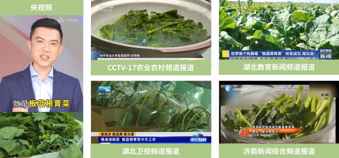 正文图片
