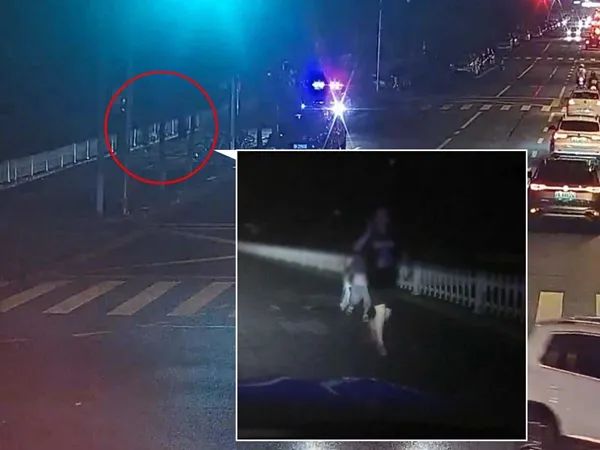 正文图片
