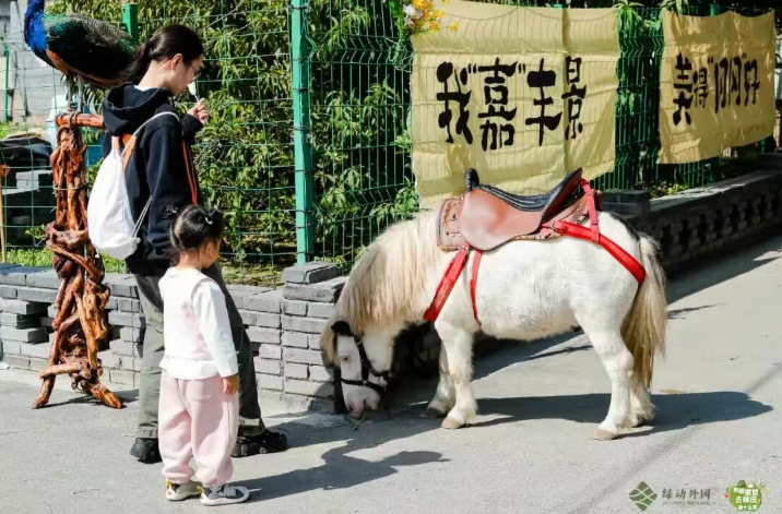 正文图片 正文图片
