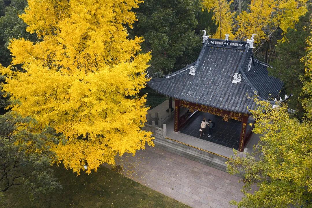 微信图片_20211128150635.jpg