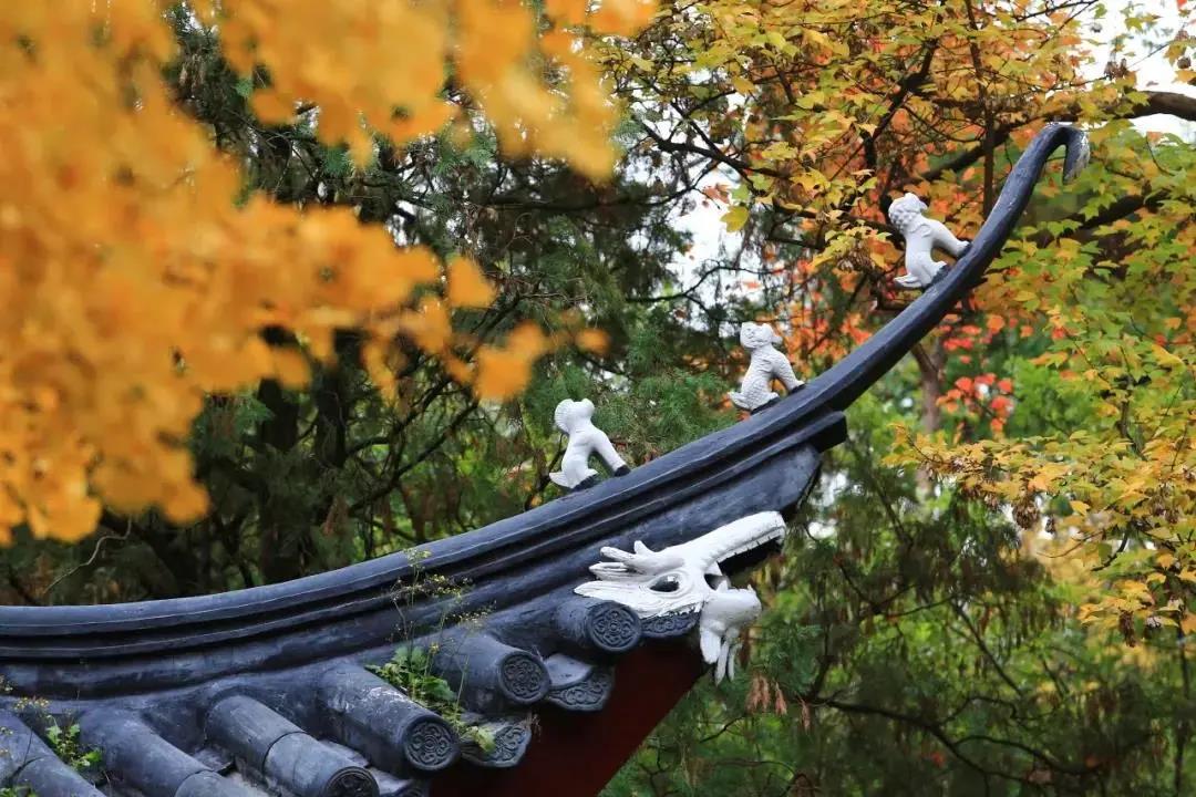 微信图片_20211220152003.jpg