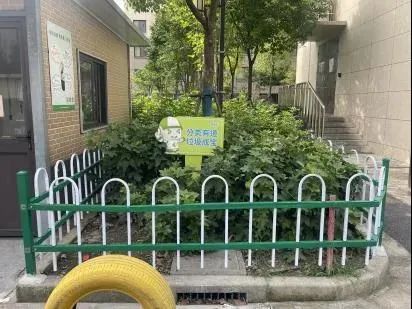 正文图片