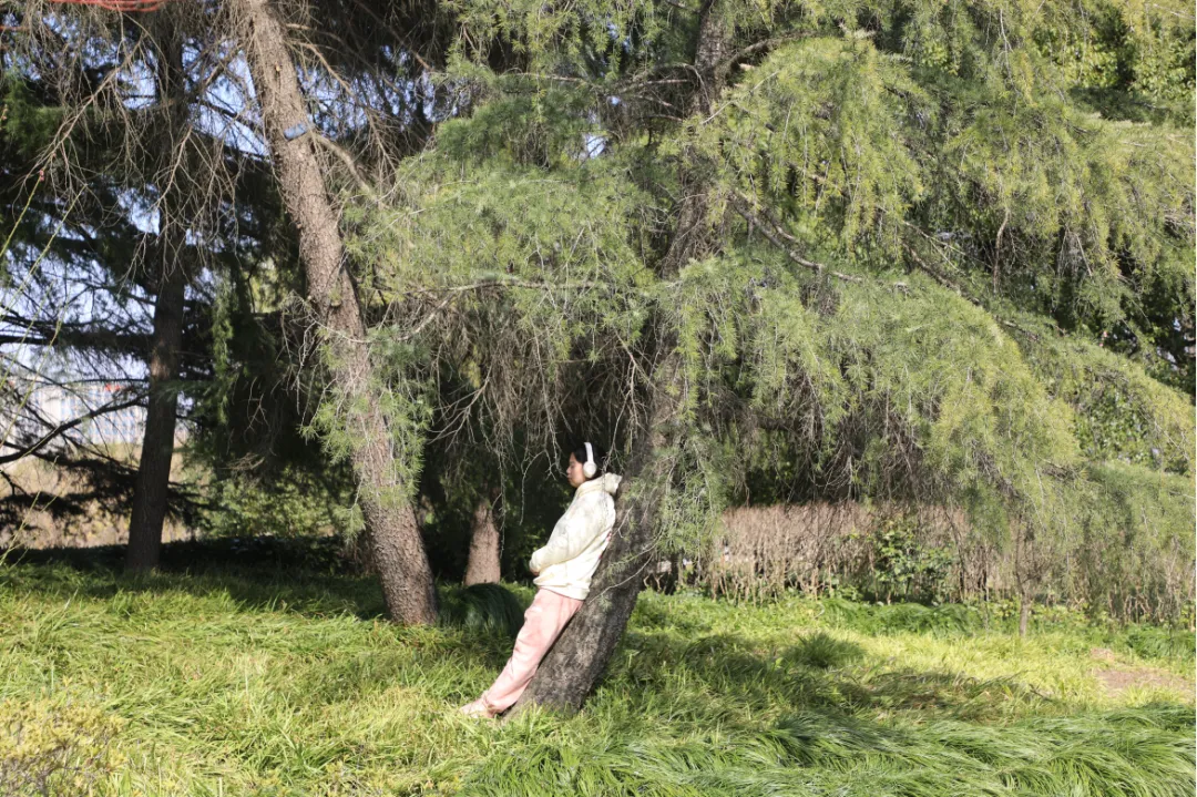 正文图片