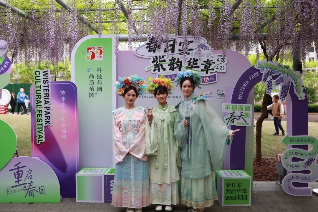 正文图片