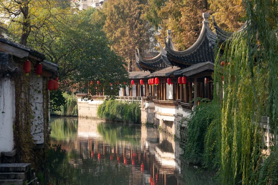 正文图片