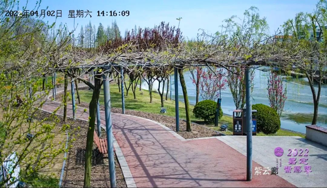 正文图片