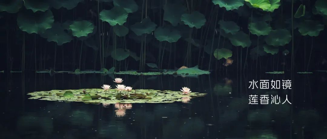 正文图片