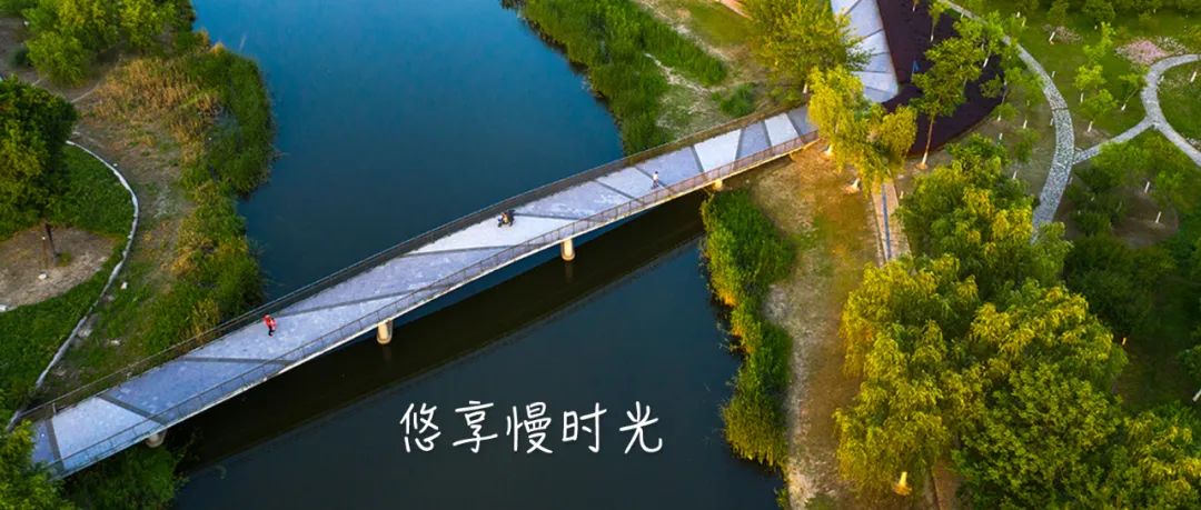 正文图片