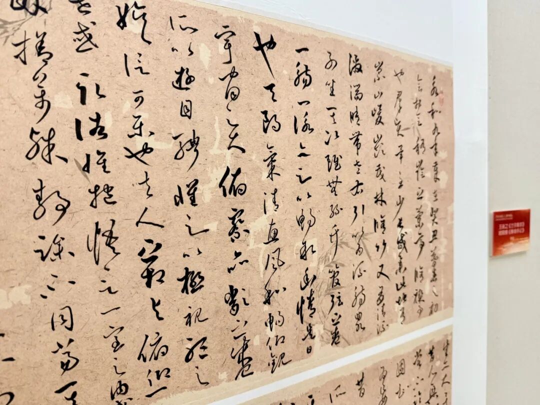 正文图片
