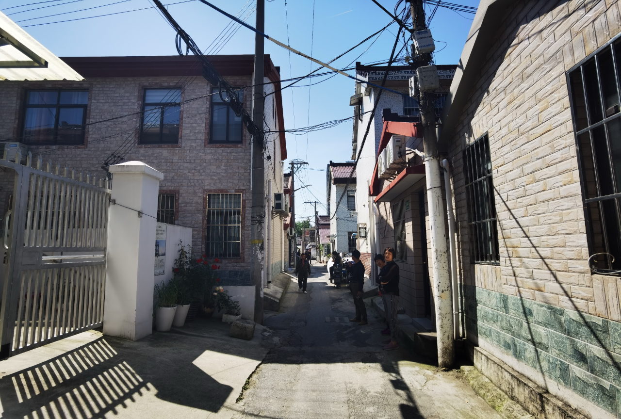 正文图片