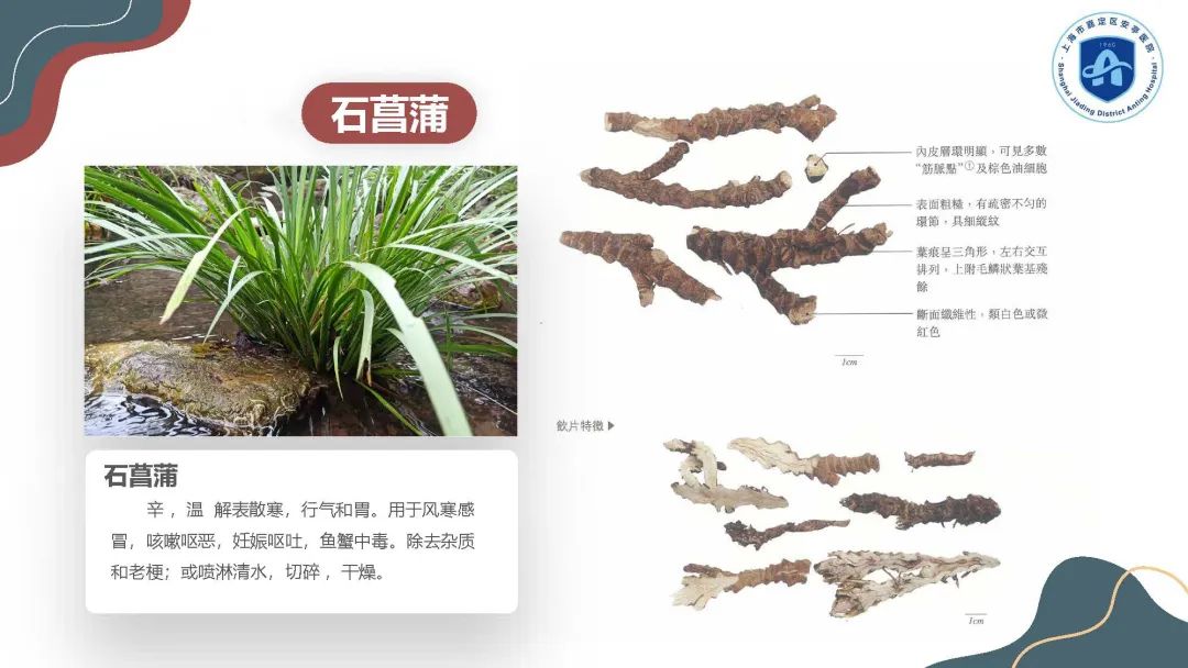 正文图片