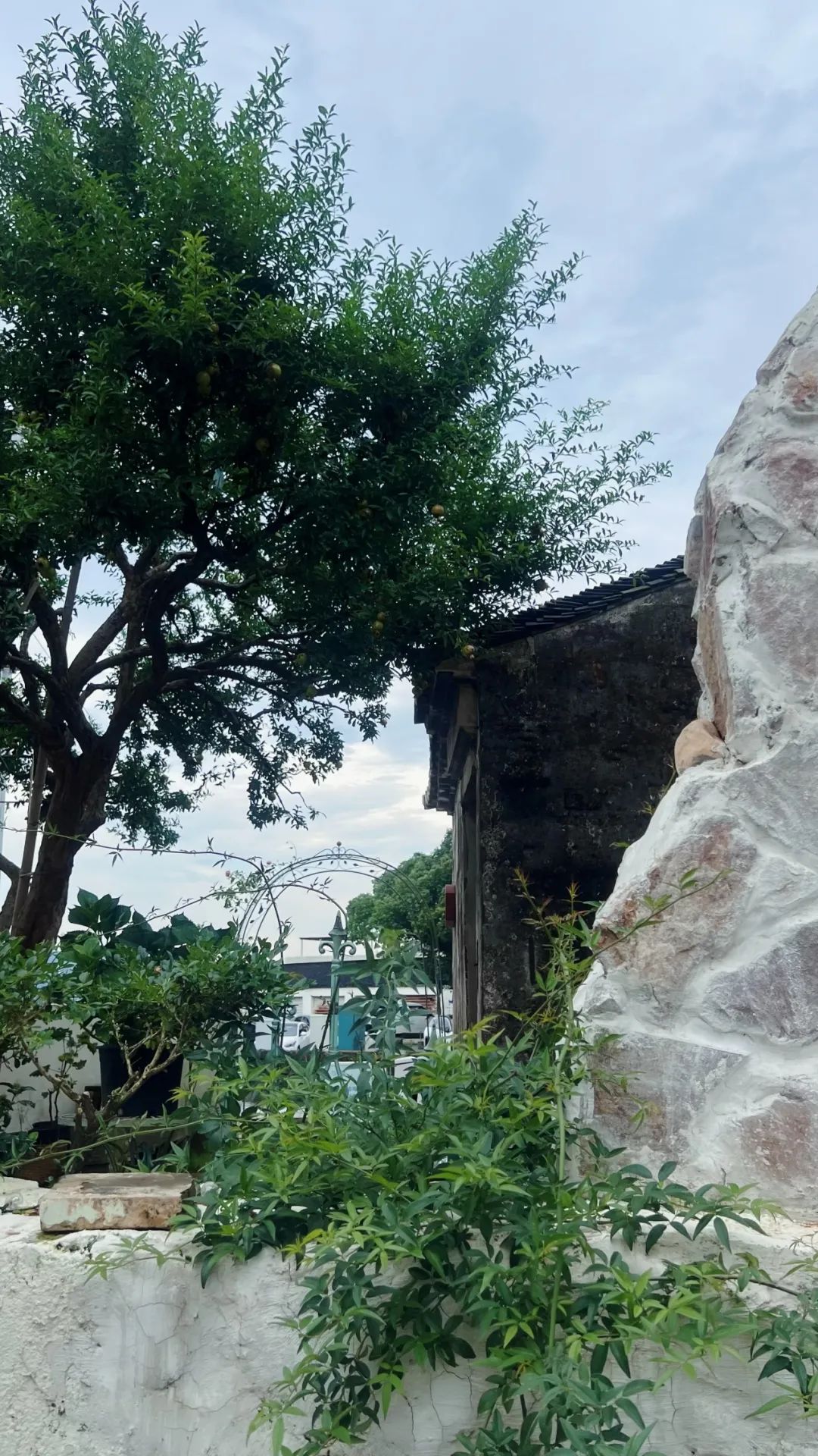 正文图片
