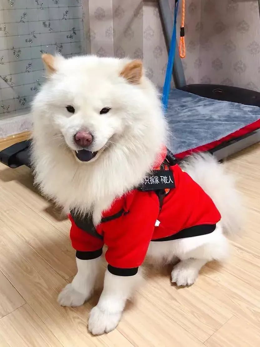 正文图片