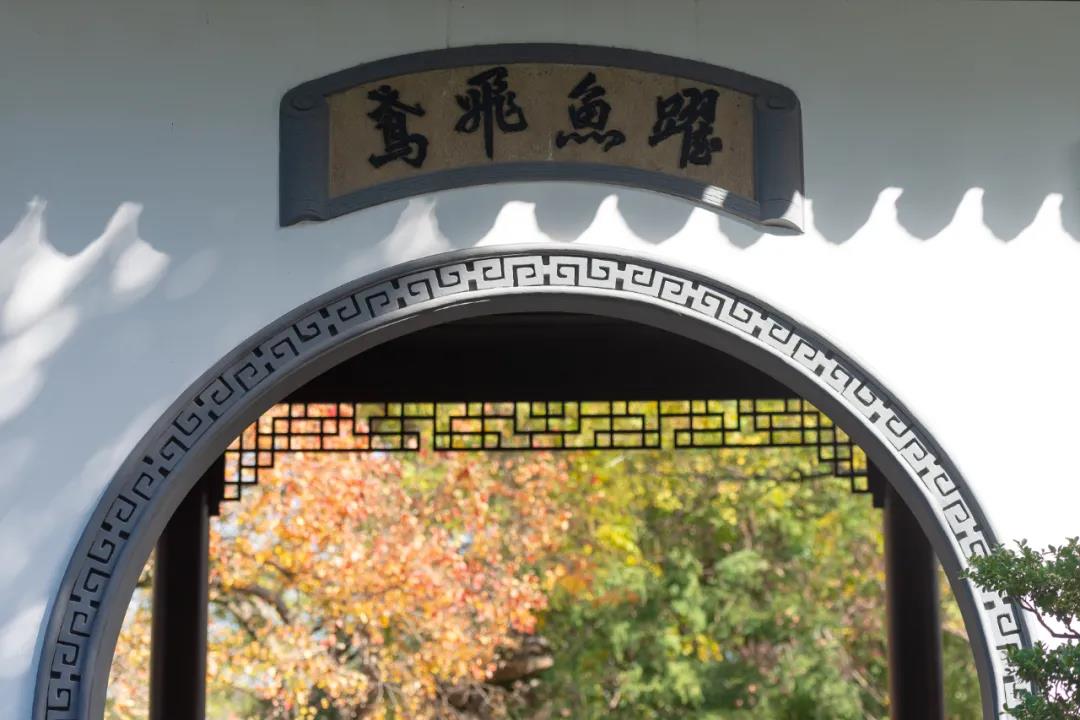 微信图片_20211126085522.jpg