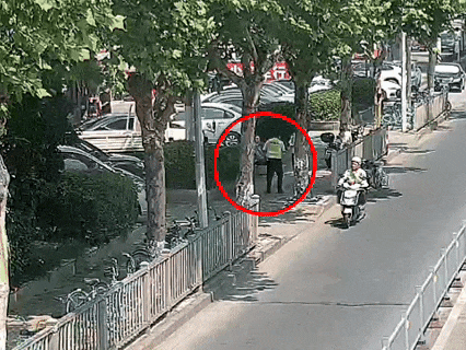 正文图片