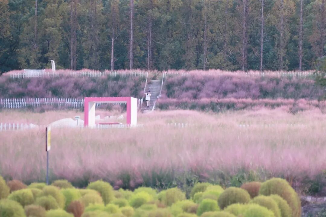 正文图片