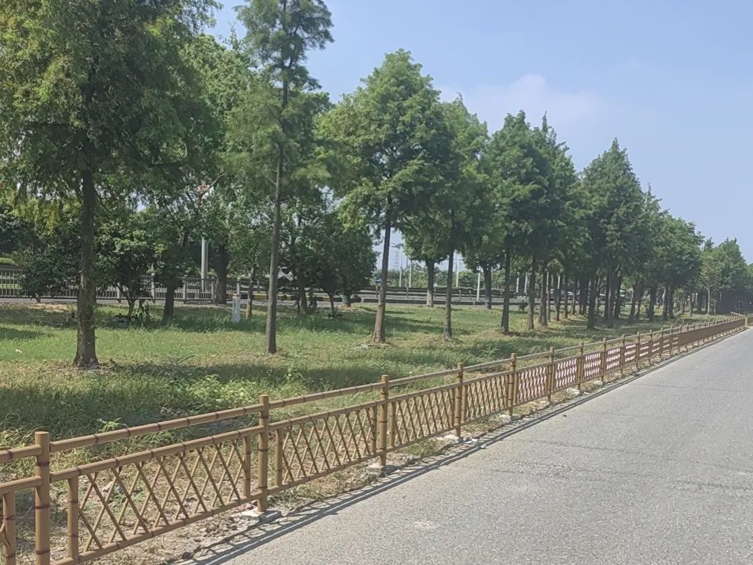 正文图片