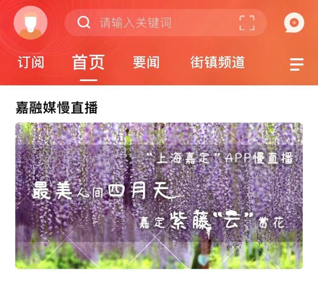 正文图片