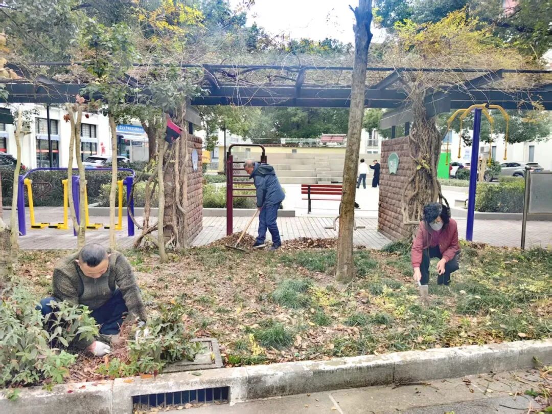 正文图片