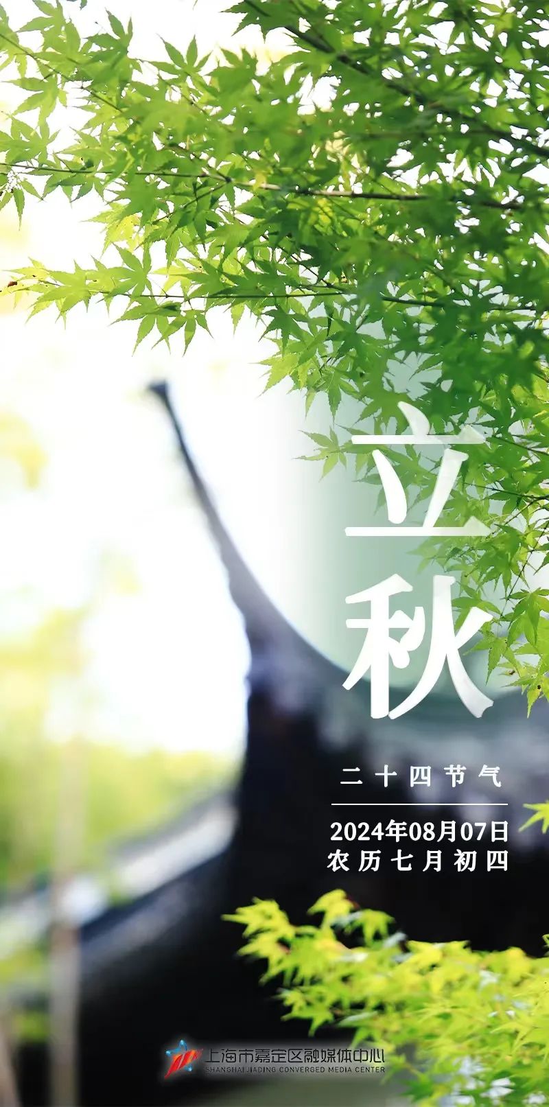 正文图片