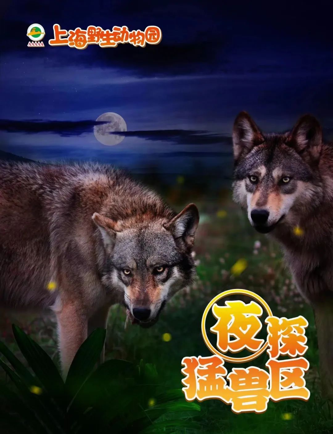 正文图片